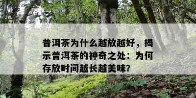 普洱茶为什么越放越好，揭示普洱茶的神奇之处：为何存放时间越长越美味？