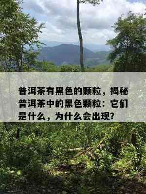 普洱茶有黑色的颗粒，揭秘普洱茶中的黑色颗粒：它们是什么，为什么会出现？