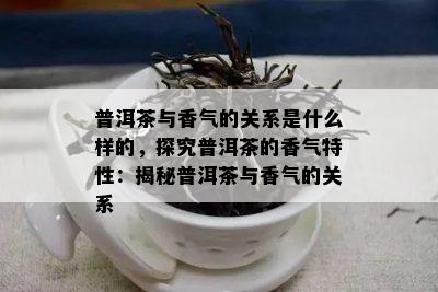 普洱茶与香气的关系是什么样的，探究普洱茶的香气特性：揭秘普洱茶与香气的关系