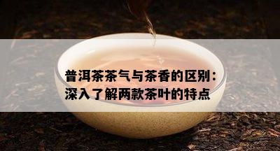 普洱茶茶气与茶香的区别：深入了解两款茶叶的特点