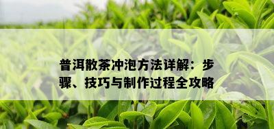 普洱散茶冲泡方法详解：步骤、技巧与制作过程全攻略