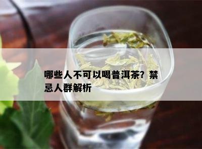 哪些人不可以喝普洱茶？禁忌人群解析