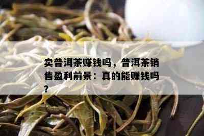 卖普洱茶赚钱吗，普洱茶销售盈利前景：真的能赚钱吗？