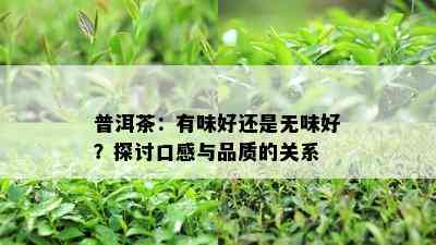 普洱茶：有味好还是无味好？探讨口感与品质的关系