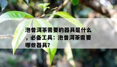 泡普洱茶需要的器具是什么，必备工具：泡普洱茶需要哪些器具？