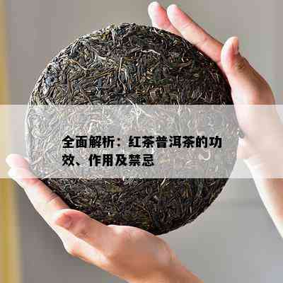 全面解析：红茶普洱茶的功效、作用及禁忌