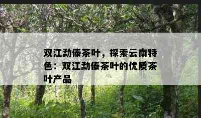 双江勐傣茶叶，探索云南特色：双江勐傣茶叶的优质茶叶产品