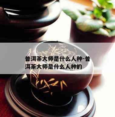 普洱茶大师是什么人种-普洱茶大师是什么人种的