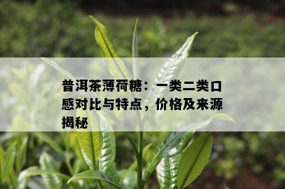 普洱茶薄荷糖：一类二类口感对比与特点，价格及来源揭秘