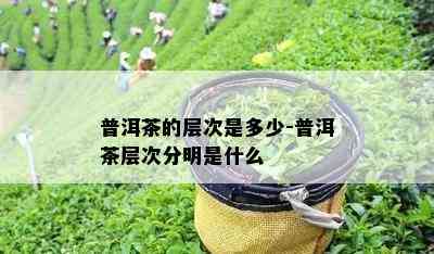 普洱茶的层次是多少-普洱茶层次分明是什么