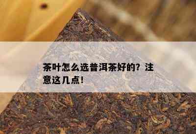 茶叶怎么选普洱茶好的？注意这几点！