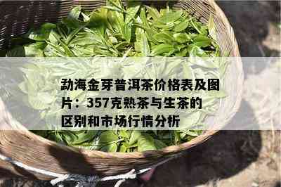 勐海金芽普洱茶价格表及图片：357克熟茶与生茶的区别和市场行情分析