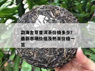 勐海金芽普洱茶价格多少？最新市场价格及熟茶价格一览