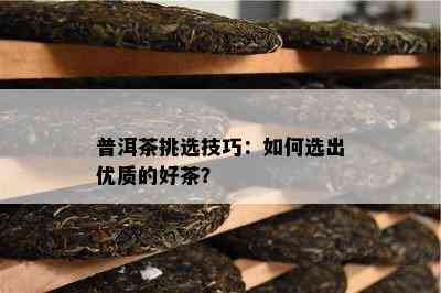 普洱茶挑选技巧：如何选出优质的好茶？