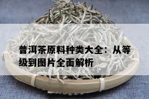 普洱茶原料种类大全：从等级到图片全面解析