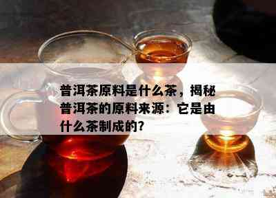 普洱茶原料是什么茶，揭秘普洱茶的原料来源：它是由什么茶制成的？