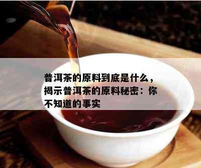 普洱茶的原料到底是什么，揭示普洱茶的原料秘密：你不知道的事实