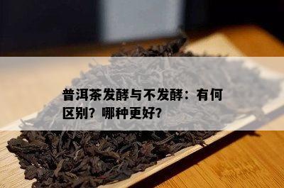 普洱茶发酵与不发酵：有何区别？哪种更好？