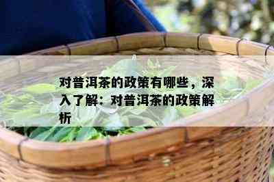 对普洱茶的政策有哪些，深入了解：对普洱茶的政策解析