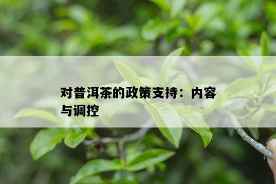 对普洱茶的政策支持：内容与调控