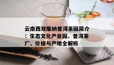 云南西双版纳普洱茶园简介：生态文化产业园、普洱茶厂、价格与产地全解析