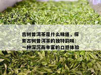 古树普洱茶是什么味道，探索古树普洱茶的独特韵味：一种深沉而丰富的口感体验