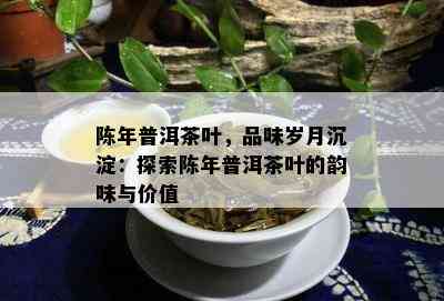 陈年普洱茶叶，品味岁月沉淀：探索陈年普洱茶叶的韵味与价值