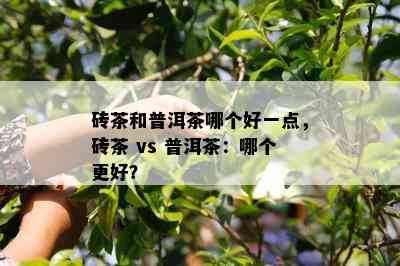 砖茶和普洱茶哪个好一点，砖茶 vs 普洱茶：哪个更好？