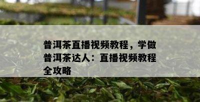 普洱茶直播视频教程，学做普洱茶达人：直播视频教程全攻略