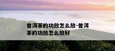 普洱茶的功放怎么放-普洱茶的功放怎么放好