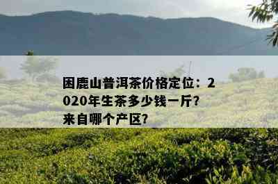 困鹿山普洱茶价格定位：2020年生茶多少钱一斤？来自哪个产区？