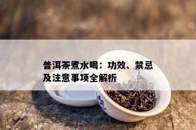 普洱茶煮水喝：功效、禁忌及注意事项全解析