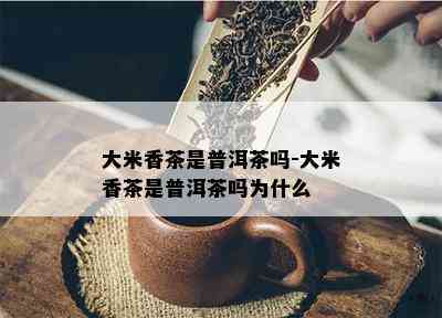 大米香茶是普洱茶吗-大米香茶是普洱茶吗为什么