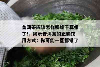 普洱茶应该怎样喝终于真相了!，揭示普洱茶的正确饮用方式：你可能一直都错了！