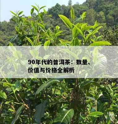 90年代的普洱茶：数量、价值与价格全解析