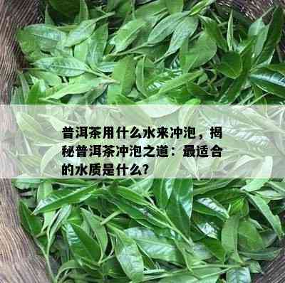 普洱茶用什么水来冲泡，揭秘普洱茶冲泡之道：最适合的水质是什么？