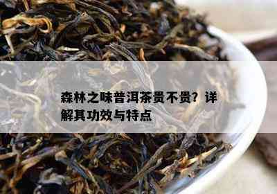 森林之味普洱茶贵不贵？详解其功效与特点