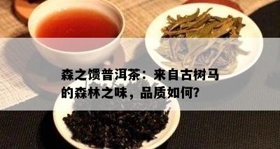 森之馈普洱茶：来自古树马的森林之味，品质如何？