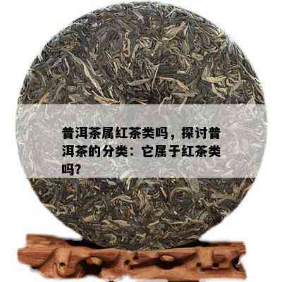 普洱茶属红茶类吗，探讨普洱茶的分类：它属于红茶类吗？