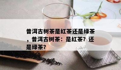 普洱古树茶是红茶还是绿茶，普洱古树茶：是红茶？还是绿茶？