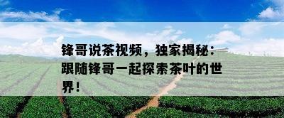 锋哥说茶视频，独家揭秘：跟随锋哥一起探索茶叶的世界！