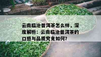 云南临沧普洱茶怎么样，深度解析：云南临沧普洱茶的口感与品质究竟如何？