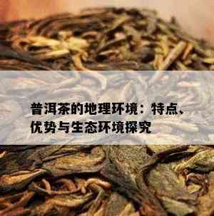 普洱茶的地理环境：特点、优势与生态环境探究