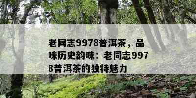 老同志9978普洱茶，品味历史韵味：老同志9978普洱茶的独特魅力