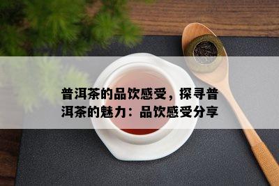 普洱茶的品饮感受，探寻普洱茶的魅力：品饮感受分享