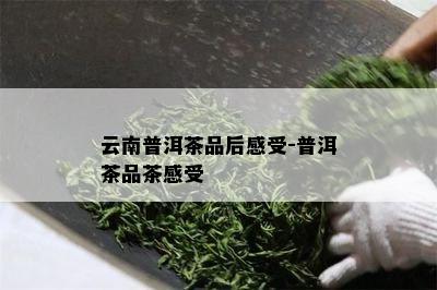 云南普洱茶品后感受-普洱茶品茶感受