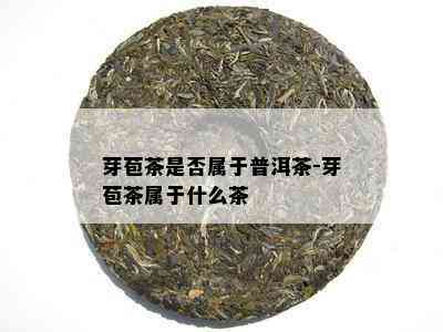 芽苞茶是否属于普洱茶-芽苞茶属于什么茶