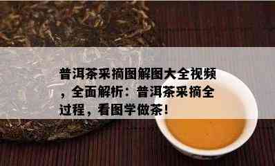 普洱茶采摘图解图大全视频，全面解析：普洱茶采摘全过程，看图学做茶！