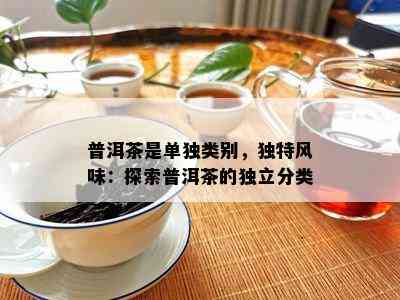 普洱茶是单独类别，独特风味：探索普洱茶的独立分类