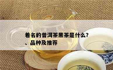 着名的普洱茶黑茶是什么？、品种及推荐